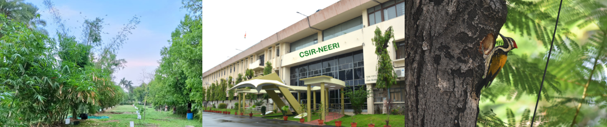 CSIR-NEERI Campus Image
